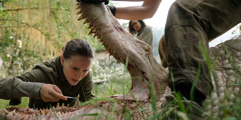 Cine en cuarentena (18): Aniquilación: La autodestrucción como un enigma de otro mundo